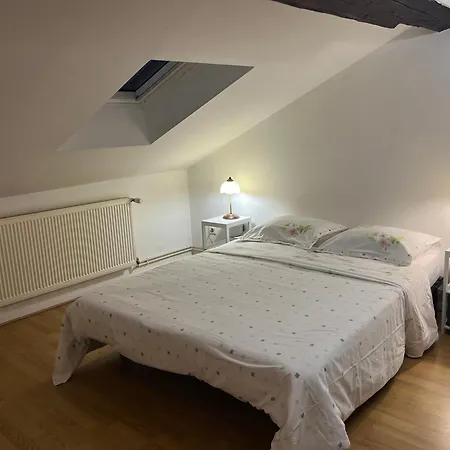 Le Victoria Vi 낭시