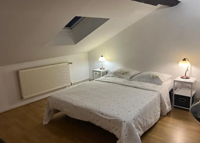 Le Victoria Vi 낭시