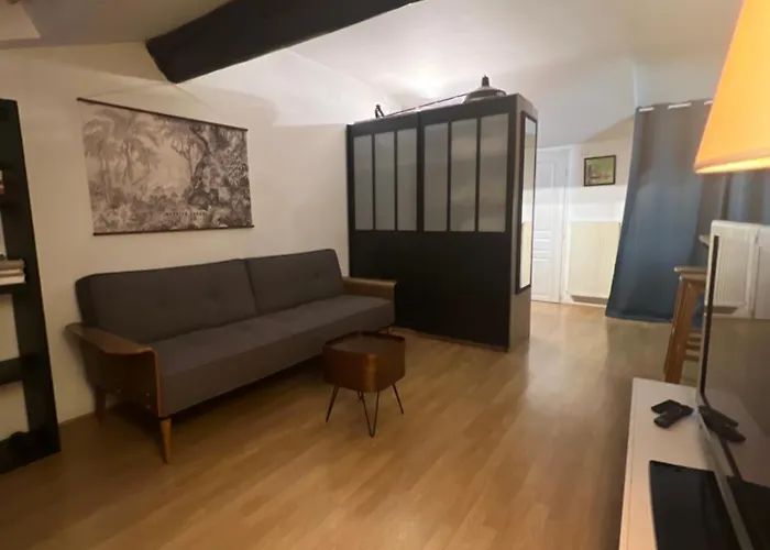 아파트 Le Victoria Vi *