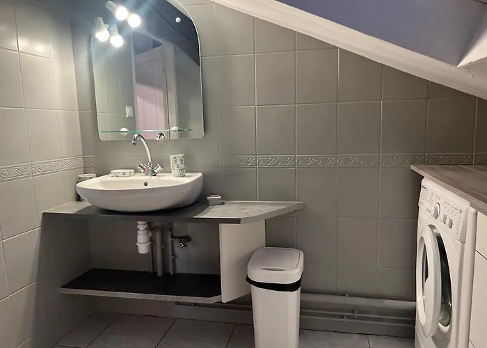 Apartament Le Victoria Vi Nancy