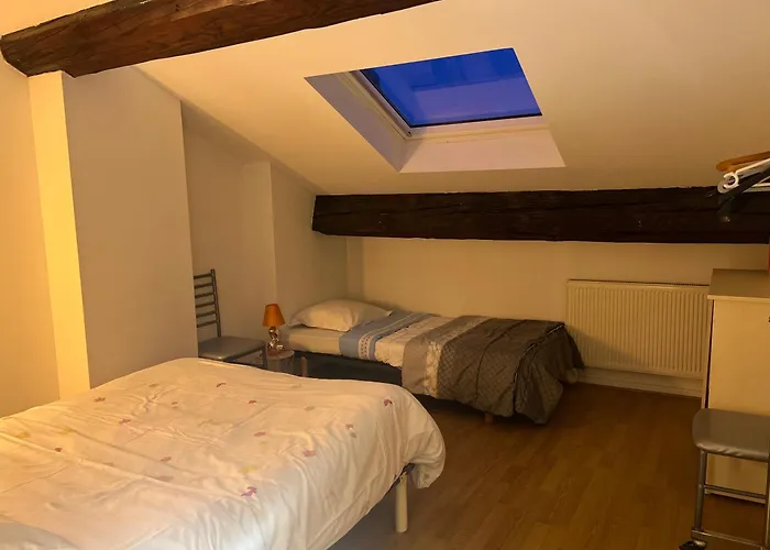 Le Victoria Vi Apartament Nancy